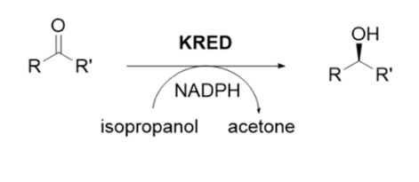 Biotechnology Enzyme Products